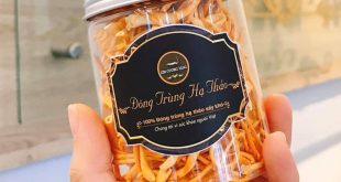 Đơn vị bán khô đông trùng hạ thảo Kim Cương Vàng sinh khối hộp 10g chính hãng