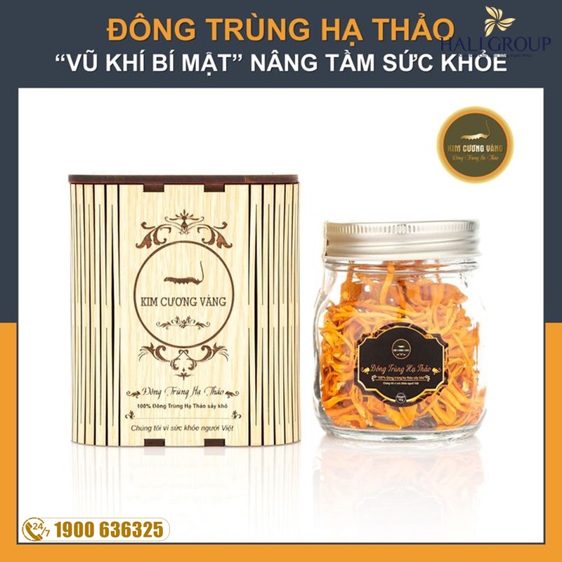 Nhận xét về Đông Trùng Hạ Thảo Kim Cương Vàng của khách hàng sau khi sử dụng sản phẩm