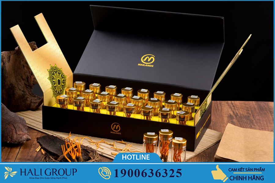 Những điều cần biết về Nhộng Đông trùng hạ thảo Mailands trên cả nước