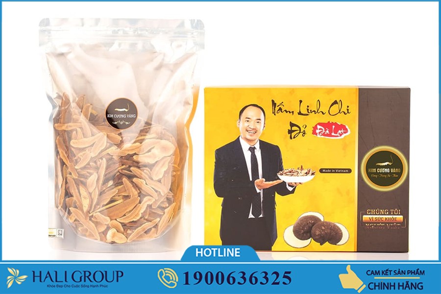 Nơi bán Nấm Linh Chi Kim Cương Vàng Đà Lạt ở HCM