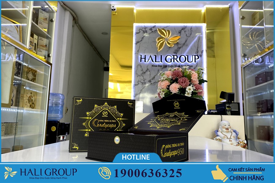 Đông Trùng Hạ Thảo Cordyceps 950 Mailands - thực phẩm "vàng" cho những ai bị suy nhược cơ thể