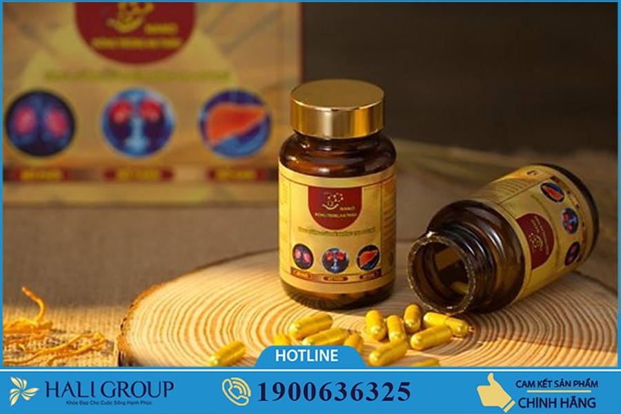 Bán Nano Đông Trùng Hạ Thảo đại lý cấp 1 uy tín