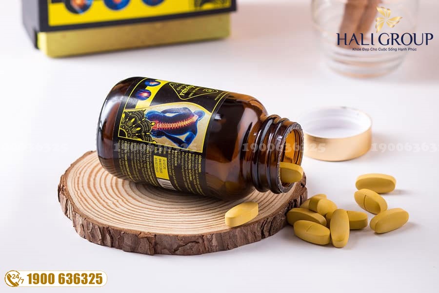 Hỗ trợ điều trị bệnh xương khớp công hiệu với đông trùng hạ thảo
