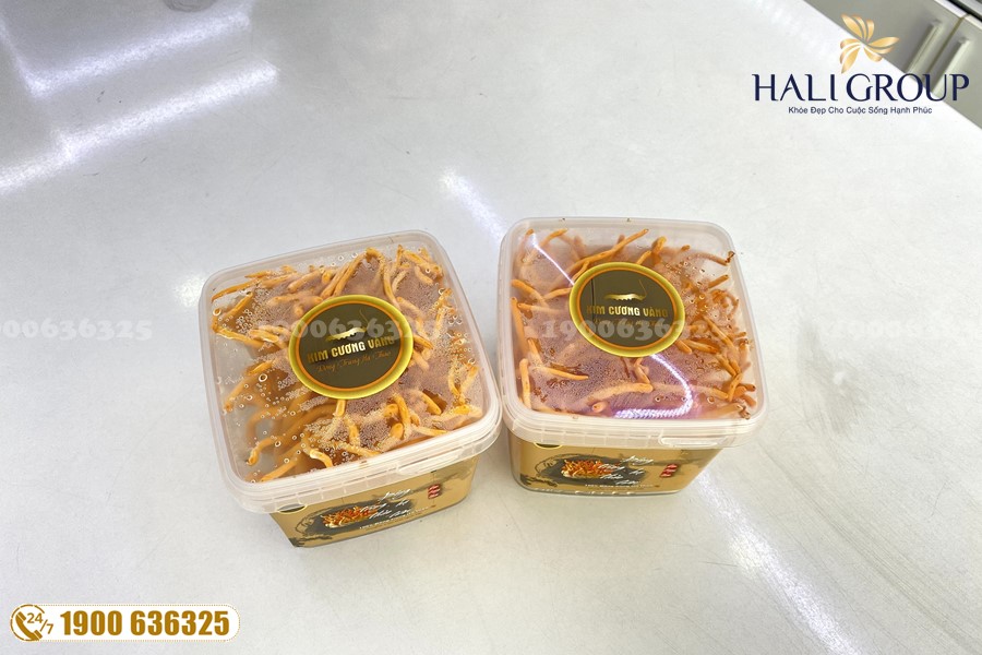 Đông trùng hạ thảo tươi – dược liệu vàng trong chuyện phục hồi cơ thể