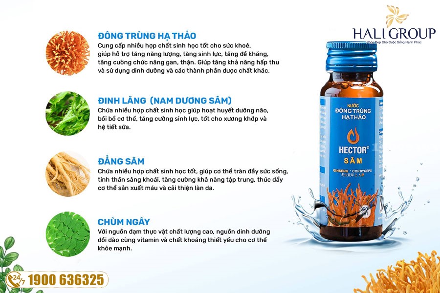 Nơi bán Nước Uống Đông Trùng Hạ Thảo Hector Sâm trên toàn quốc