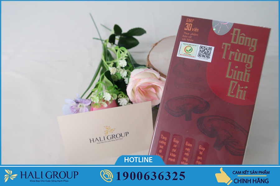 Tác dụng tuyệt hảo của Đông Trùng Hạ Thảo trong việc trị mất ngủ